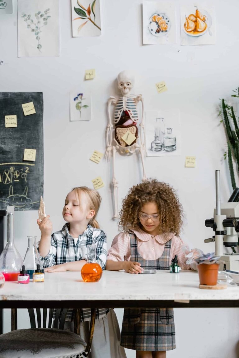 Fun experiments to do at home